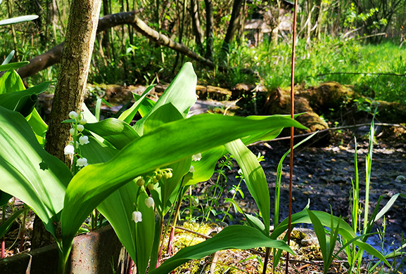 Unieke locatie biodiversiteit